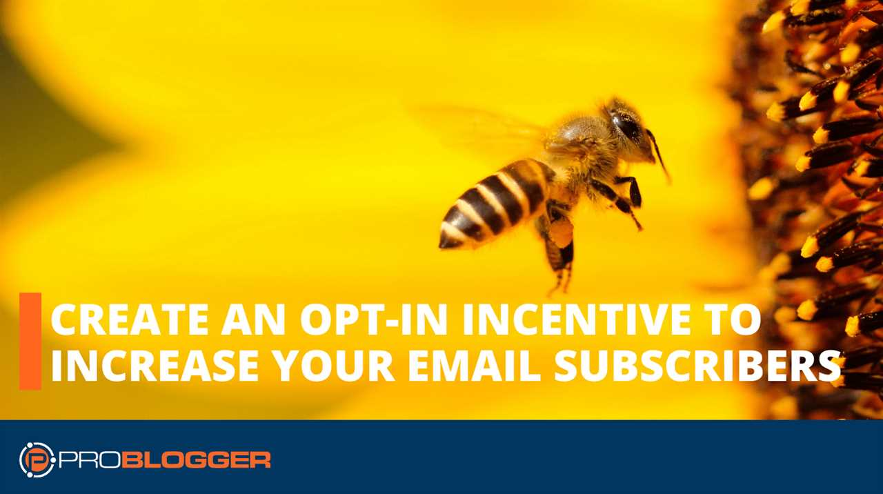 Create an opt-in incentive to increase your email subscriber numbers