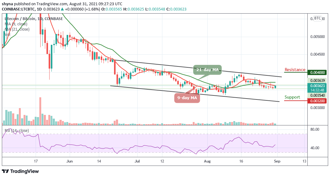 Prediction of Litecoin's Price: LTC/USD Ready for $175 Reclaim?