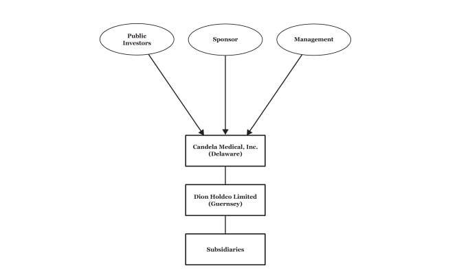 Business scheme of Candela Medical, Inc.