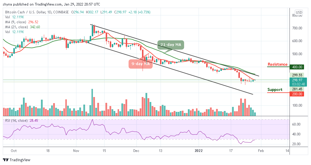 Bitcoin Cash Price Prediction